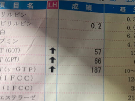 血液検査　結果(2024年8月）