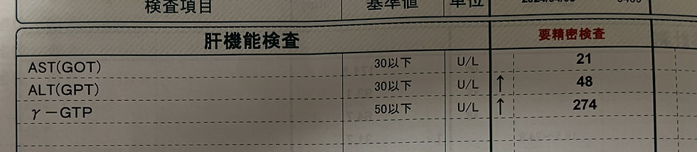 健康診断　肝機能結果（2024年）