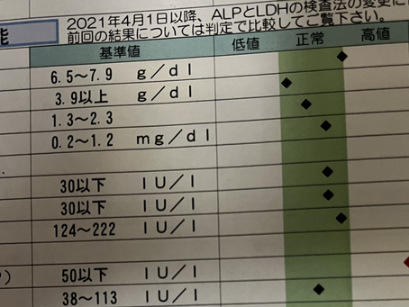 健康診断　報告（2024年度）