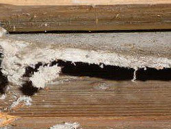 MULTIPLE LAYER OF ACM FLOORING