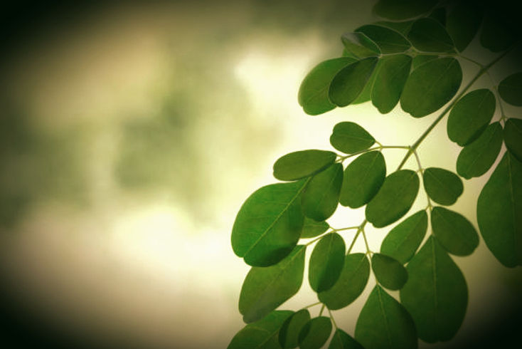 istockphoto-1006681784-612x612_edited_edited.jpg