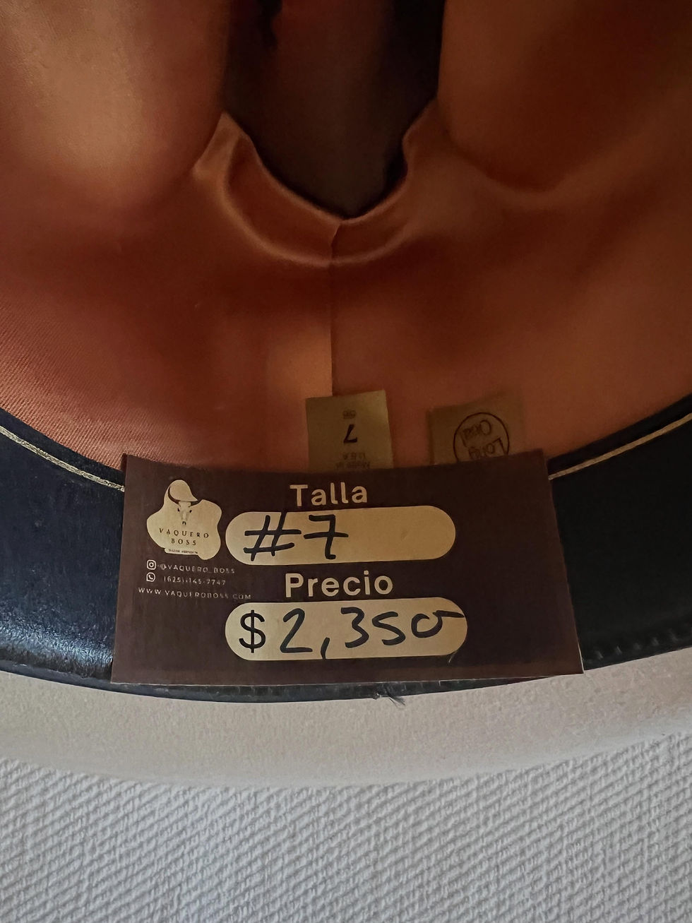 Miniatura: Texana Sarateli 6X pelo de castor 