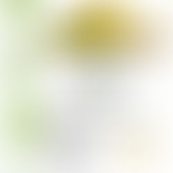 Oli d'Oliva: dall'albero alla tavola