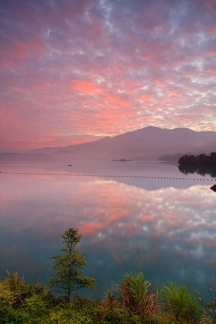 A FORMOSA ADVENTURE IN THE PIPELINE...