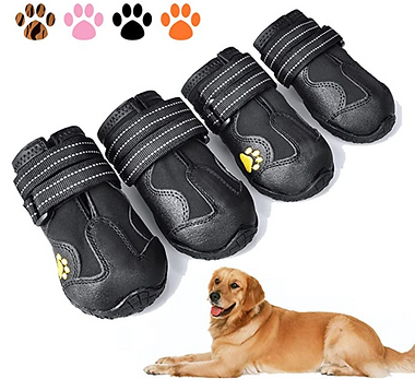 Untitled design (4).png