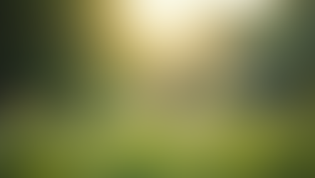 Elevate Your Business Performance with Coaching and Mentoring for Organisational Health