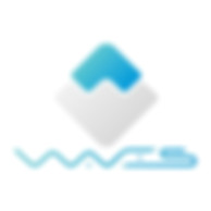 waves coin, best coins to own, waves token, waves token explained, waves token review