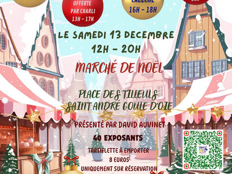 🎄✨ Je serai au Marché de Noël de Saint-André-Goule-d’Oie ce samedi !