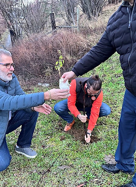 Screenshot 2025-05-28 at 1.27_edited.jpg