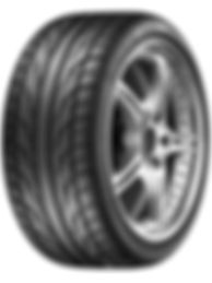Dunlop DZ101