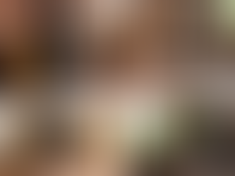 Comparing Costs: Masonry vs. Corn Stoves