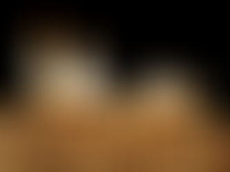 Biomass Stove Tax Credit - A Guide to Eligibility, Benefits, and Claiming the Credit