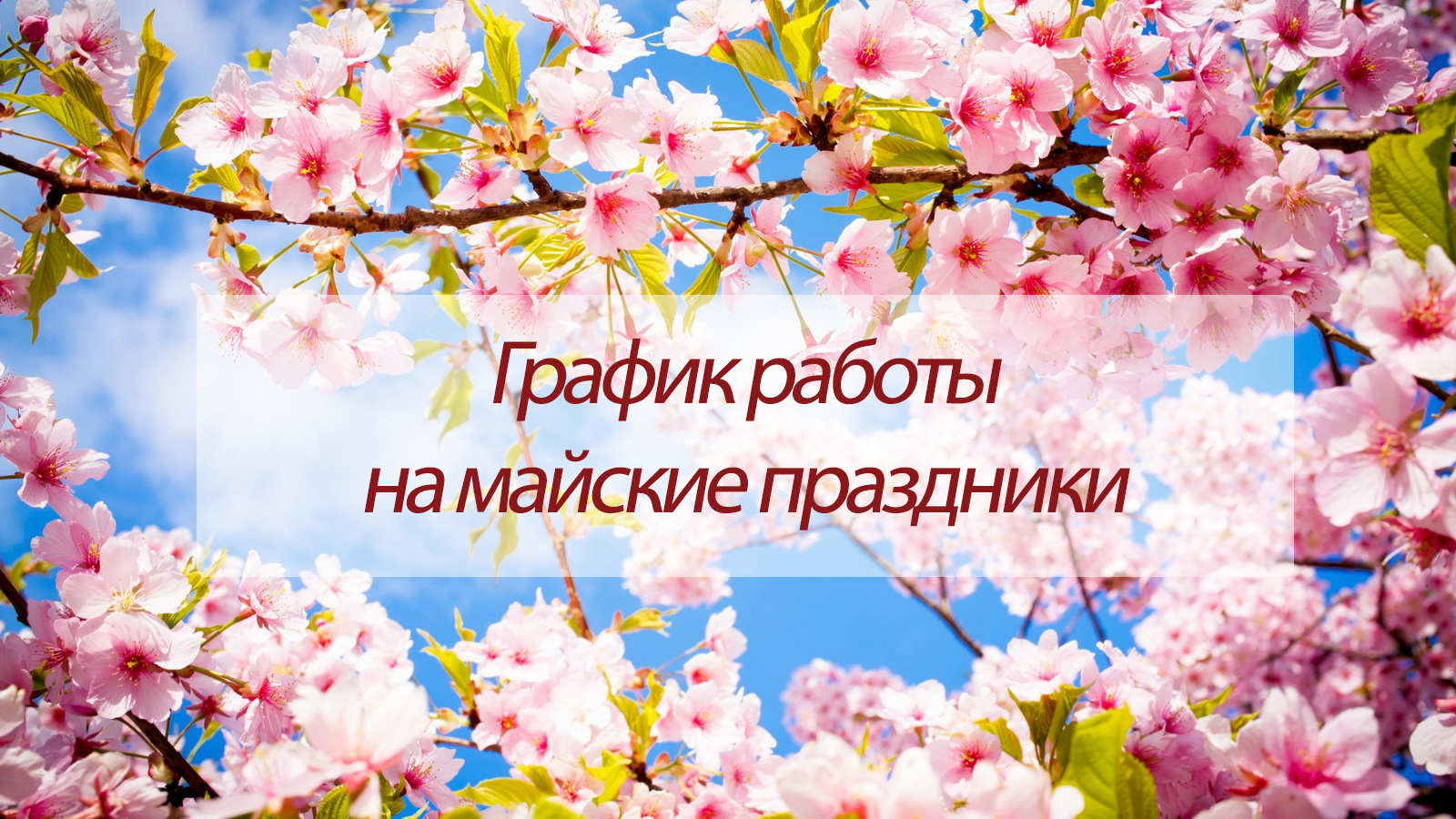 Картинки с майскими праздниками и выходными, лет совместной жизни