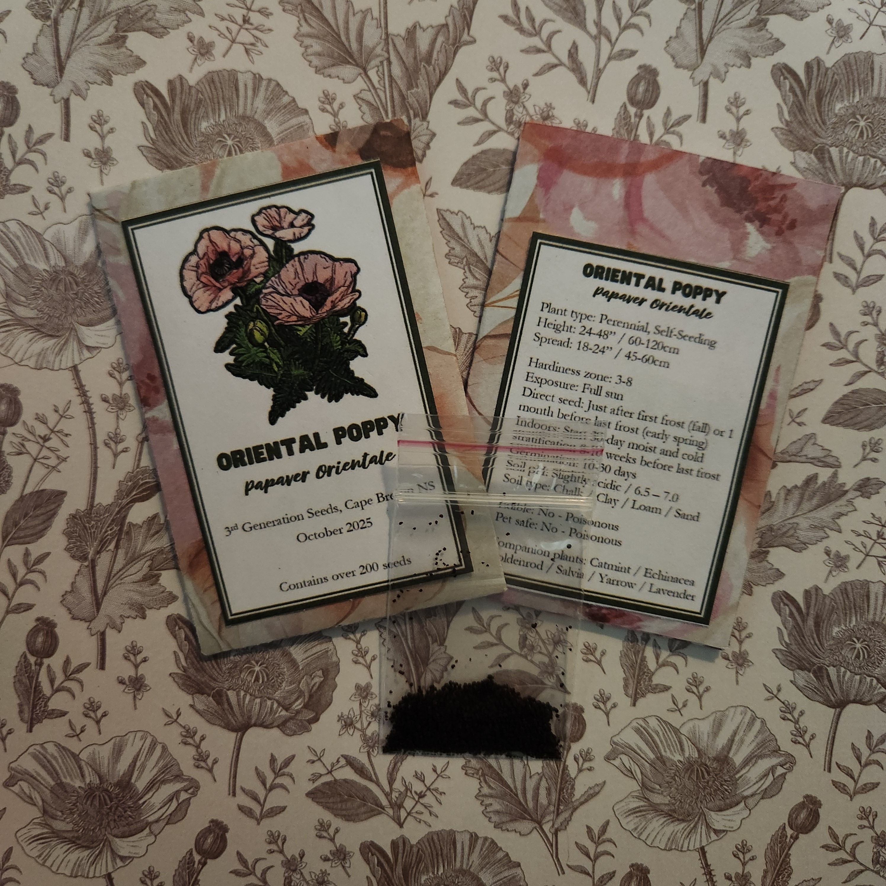 Oriental Poppy Seeds 