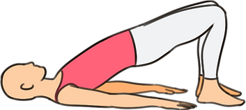 bridge exercise.png