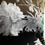 Thumbnail: Black Floral Dress