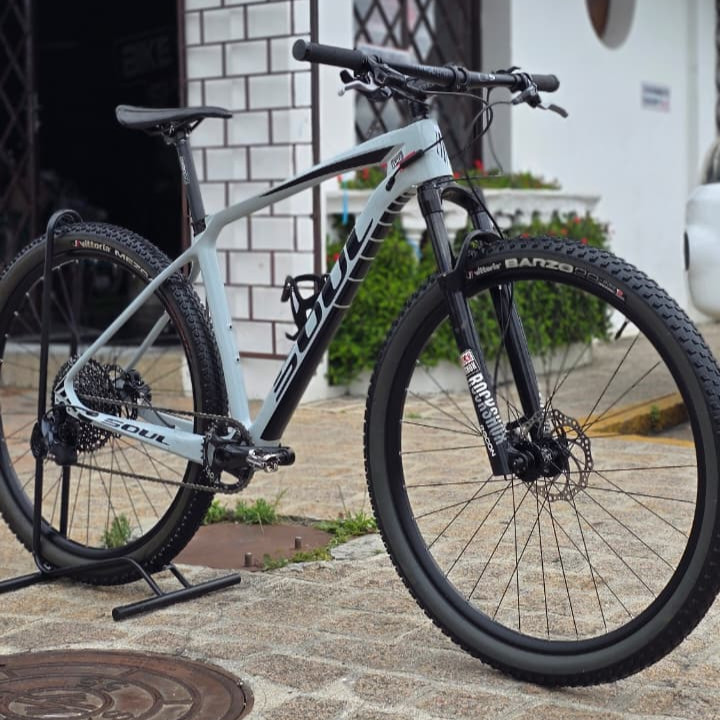 Bicicleta 29 Soul Carbono t.19
