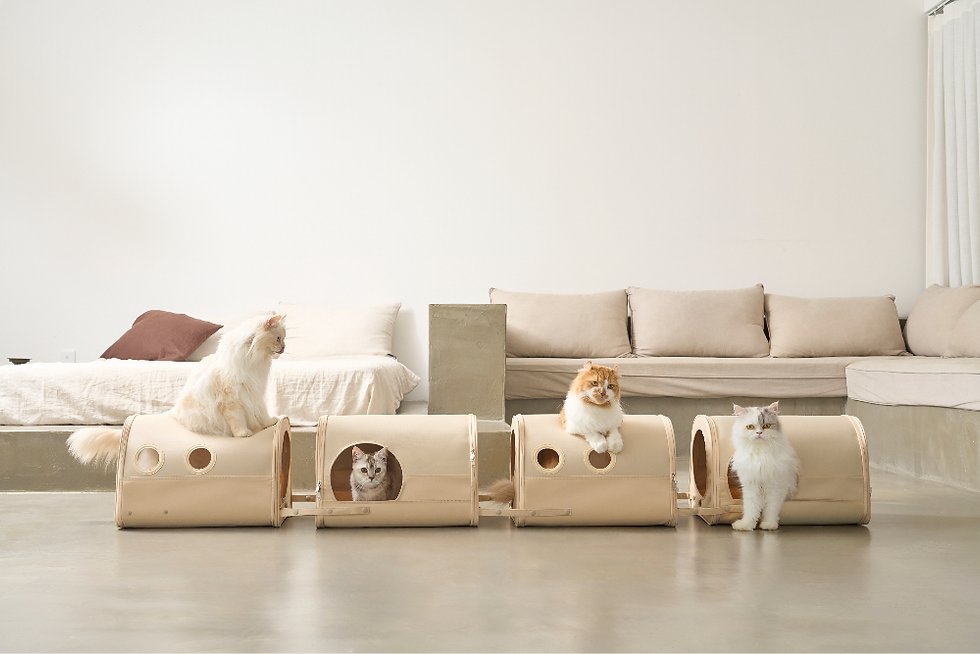 Thumbnail: Cat Tunnel Set