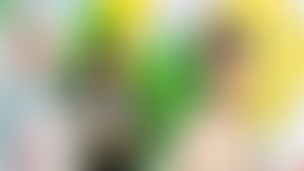 Fête de la Mi-Automne