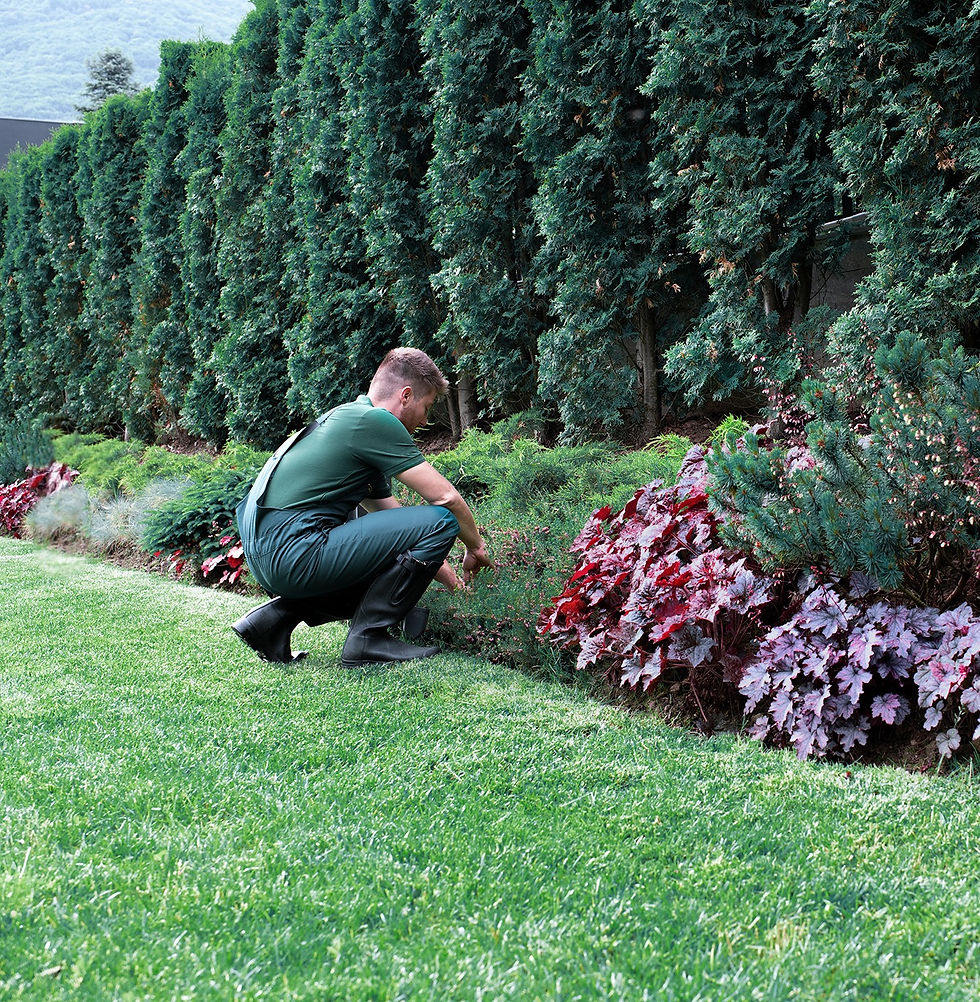 websites for landscapers