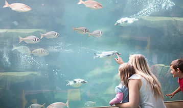 Family Visiting Aquarium