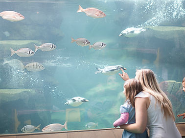 Family Visiting Aquarium