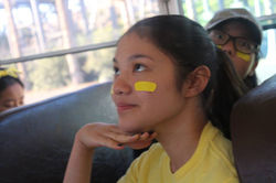 11988436_1522033744781201_611143473753972680_n