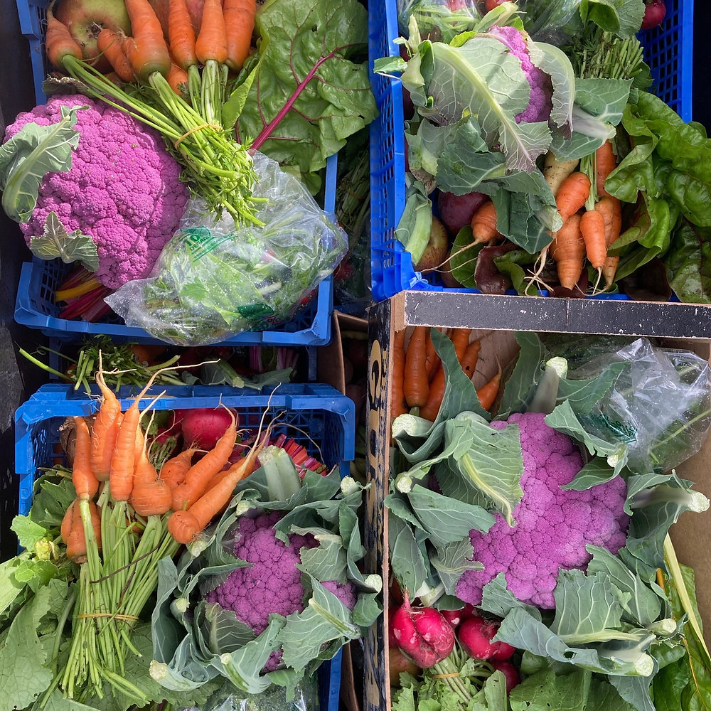 Mitchell Place Natural Food A Deep Dive into Healthy Eating Mitchell Place Natural Food A Deep Dive into Healthy Eating