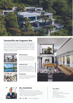 Grafik Design von Skald Media - Multimedia Agentur Luzern