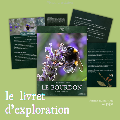 Miniature : Pack bourdon : légitimité