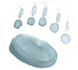 PatteOurse