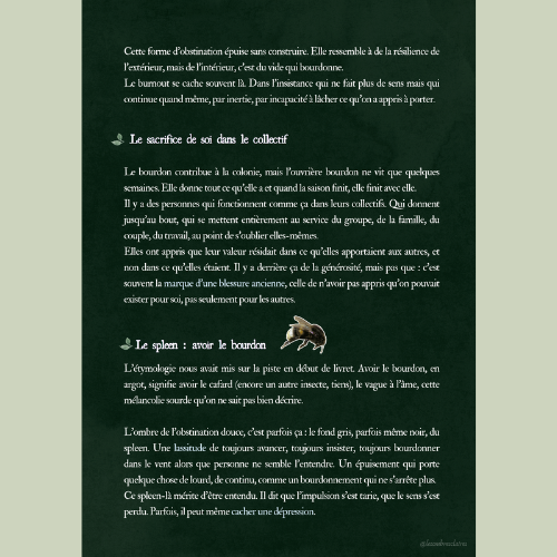 Miniature : Le bourdon : livret d'exploration