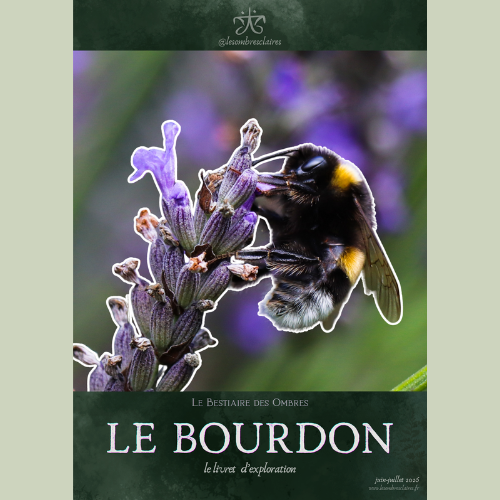 Le bourdon : livret d'exploration