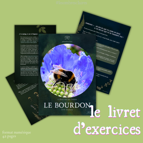 Miniature : Pack bourdon : légitimité
