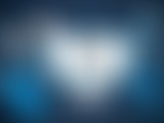 Affordable Wordpress Website Development