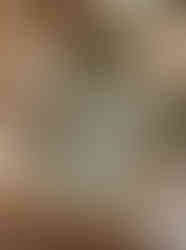 Wedding rings styled with details at Canyonwood Ridge Dripping Springs wedding