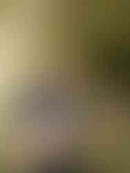 Musician playing guitar during the outdoor ceremony at The Waters Point in Wimberley, Texas