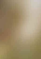 Wide portrait of bride and groom standing under the trees at The Waters Point in Wimberley, Texas during their Hill Country wedding