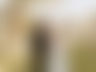 Bride and groom walking hand in hand beneath cypress trees during their Wimberley wedding at The Waters Point in Wimberley, Texas