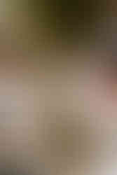 Close up of reception table florals at The Waters Point in Wimberley, Texas during a wedding celebration