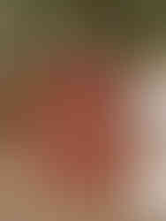 Wedding invitation and details for Halle and Quinten’s Lost Mission wedding in Spring Branch, Texas, styled for a warm and romantic Hill Country wedding