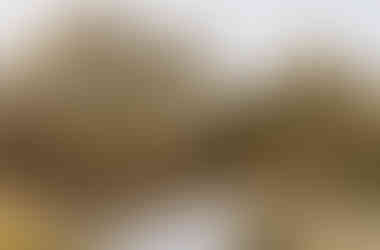 Wide view of the bride walking down the aisle under oak trees at The Addison Grove in Dripping Springs, Texas, captured by Grace J Photo, a Texas Hill Country wedding photographer.