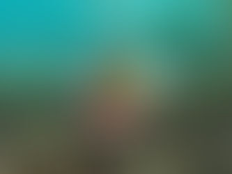 catfished by a candidate