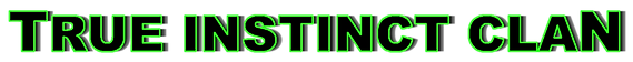 wix banner.png