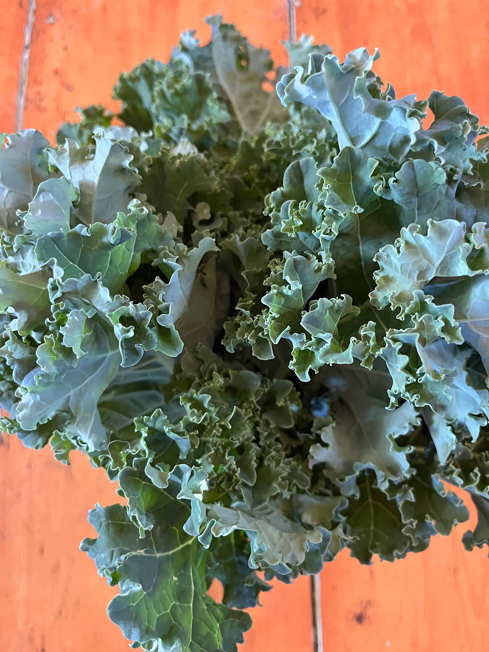 Thumbnail: Bunches of Brassica Greens
