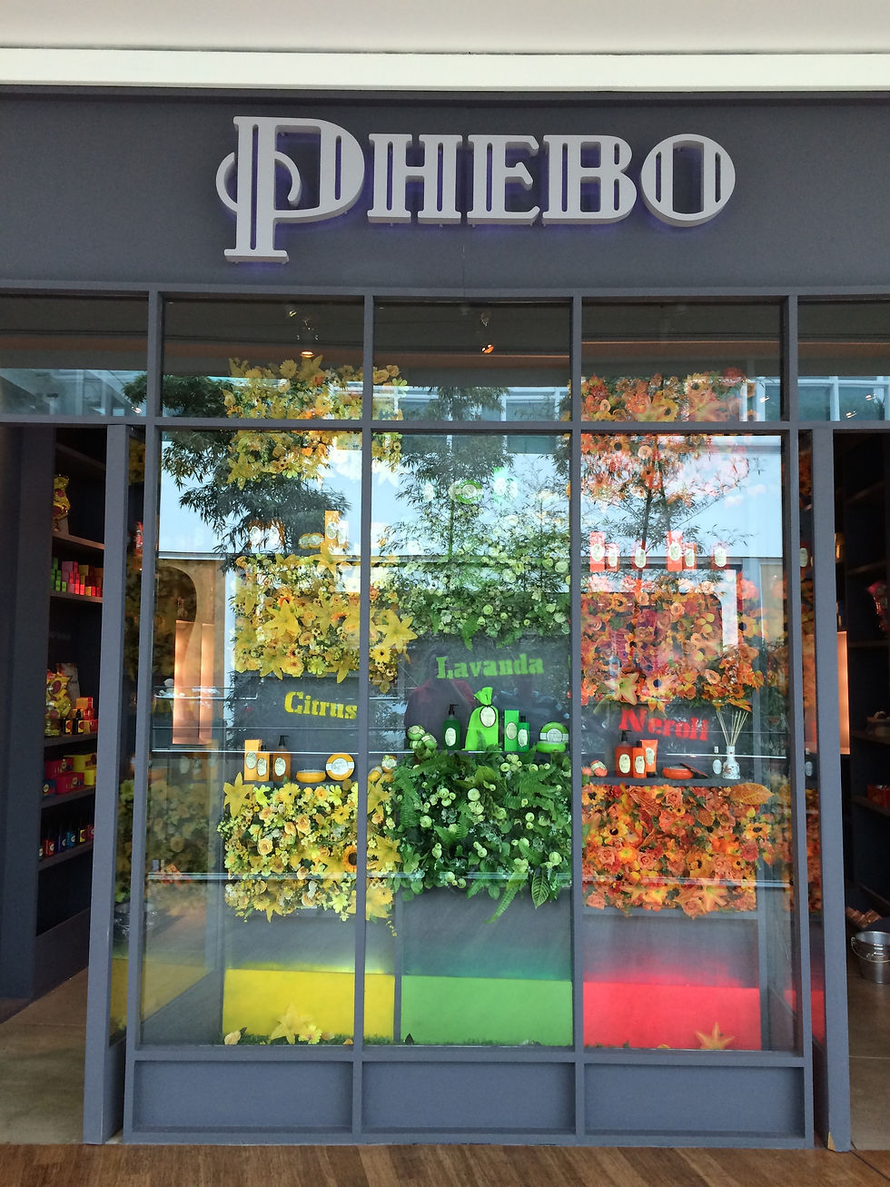 Vitrine Phebo
