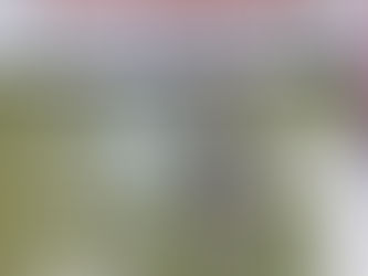 The Politically Incorrect Guide to the Vietnam War A REVIEW