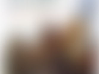 The American Story: The Beginnings ,