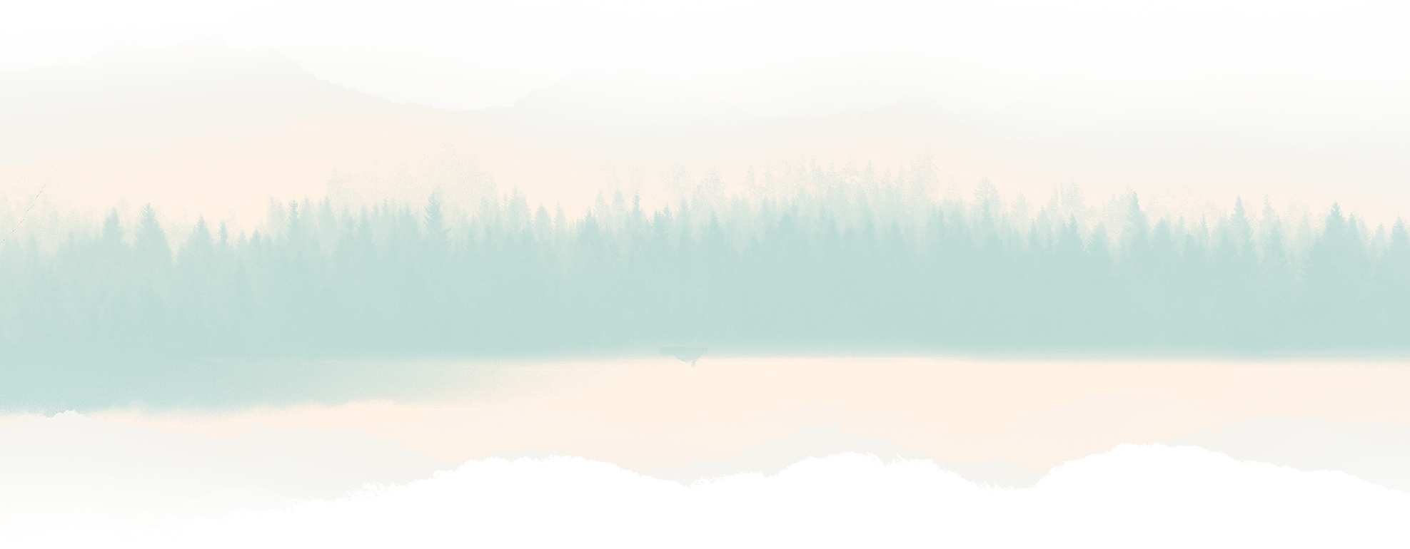 kevin-hou-40208-unsplash-collage-2_edited_edited_edited_edited (1).png