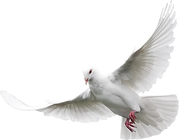 a0314594f79891d212e9e1e43b3c54b5.png